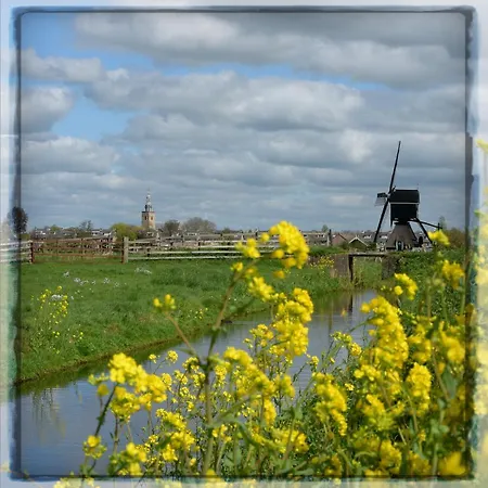 Bed & Breakfast Rodenburg