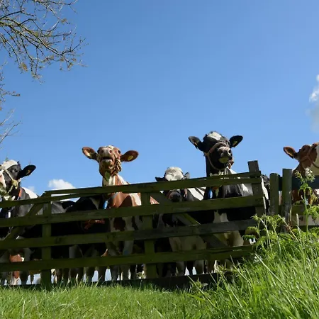 Rodenburg 住宿加早餐酒店