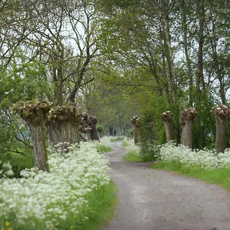 Rodenburg Отель типа 