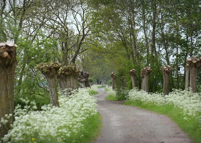 Rodenburg Bed and breakfast Streefkerk