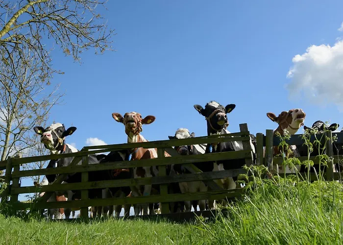 Rodenburg فندق مبيت وإفطار